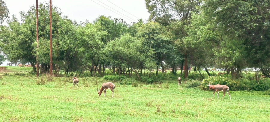 4 Bedroom Property for Sale in Potchefstroom Rural North West